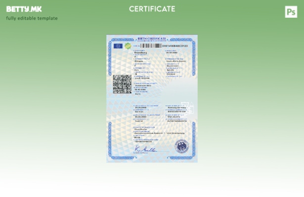 Модерен стил шаблон за извод од матична книга на родените во Германија во шаблон